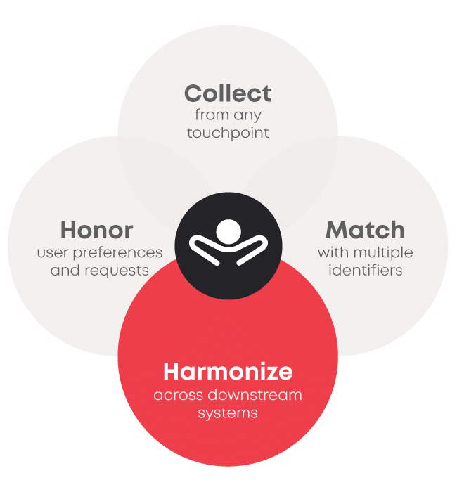 Key service categories Harmonize