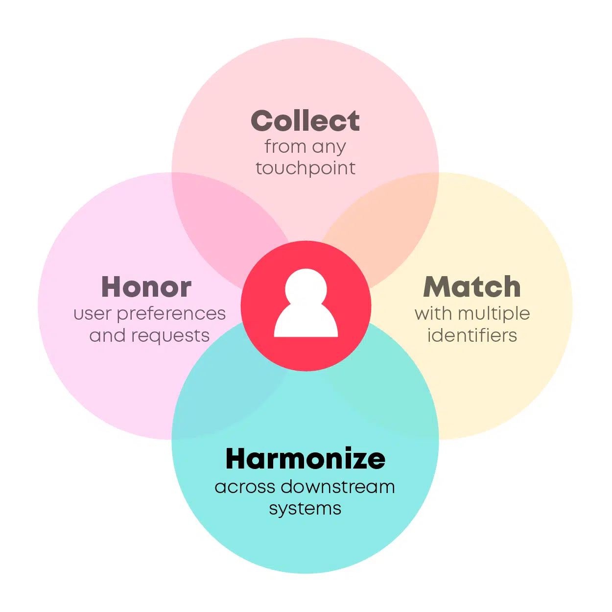 Key service categories Harmonize