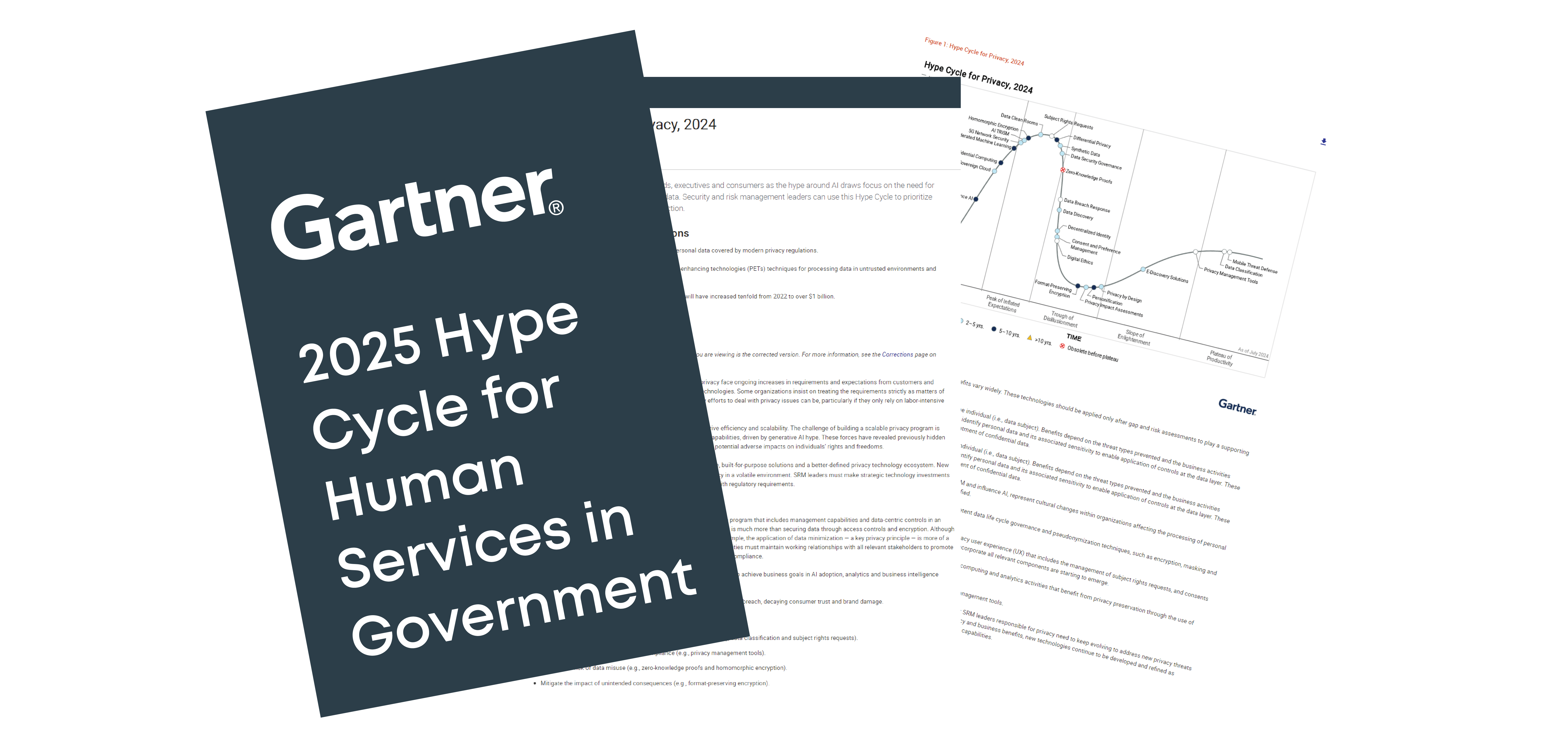 2025 Gartner Hype Cycle for Human and Social Services in Government