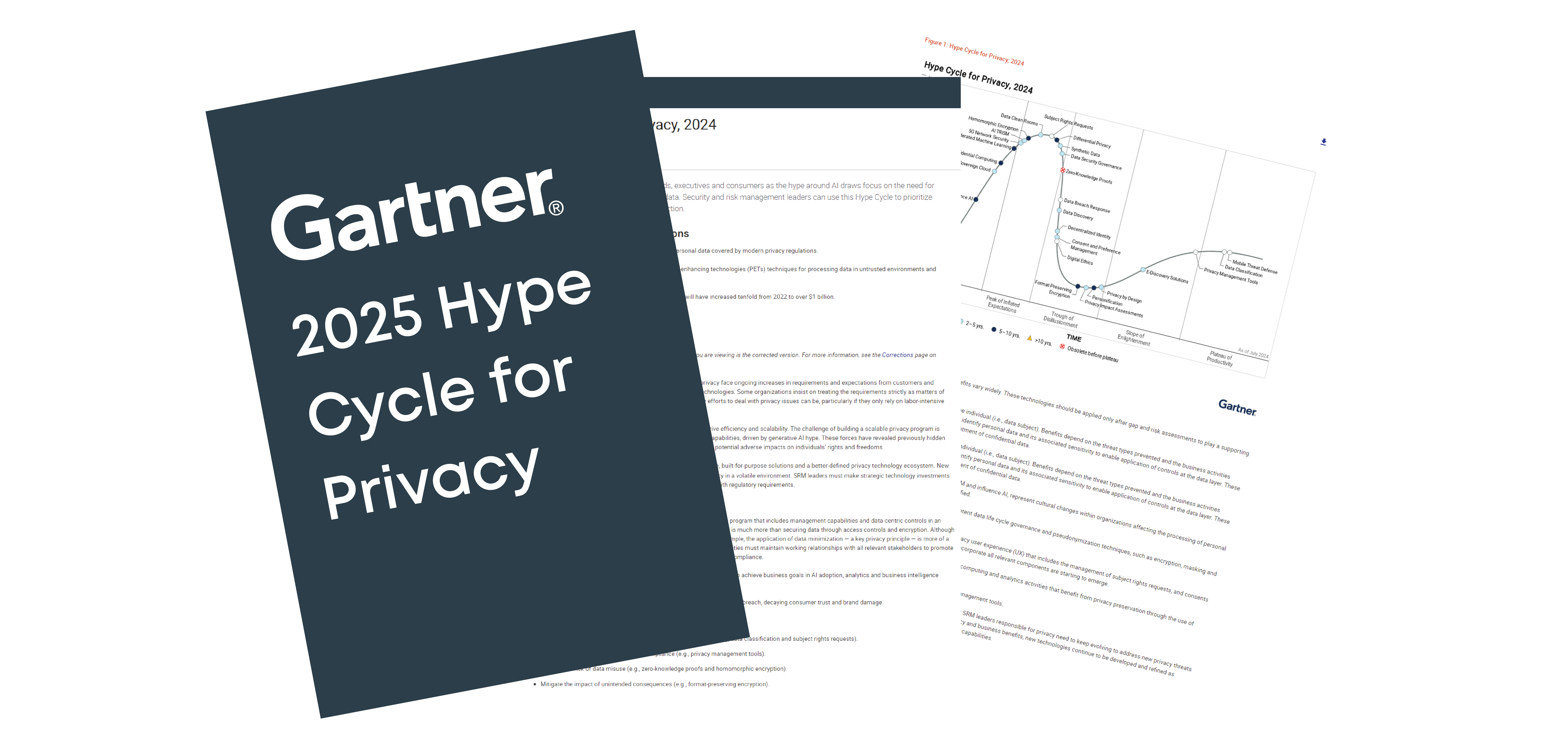2025 Gartner Hype Cycle for Privacy