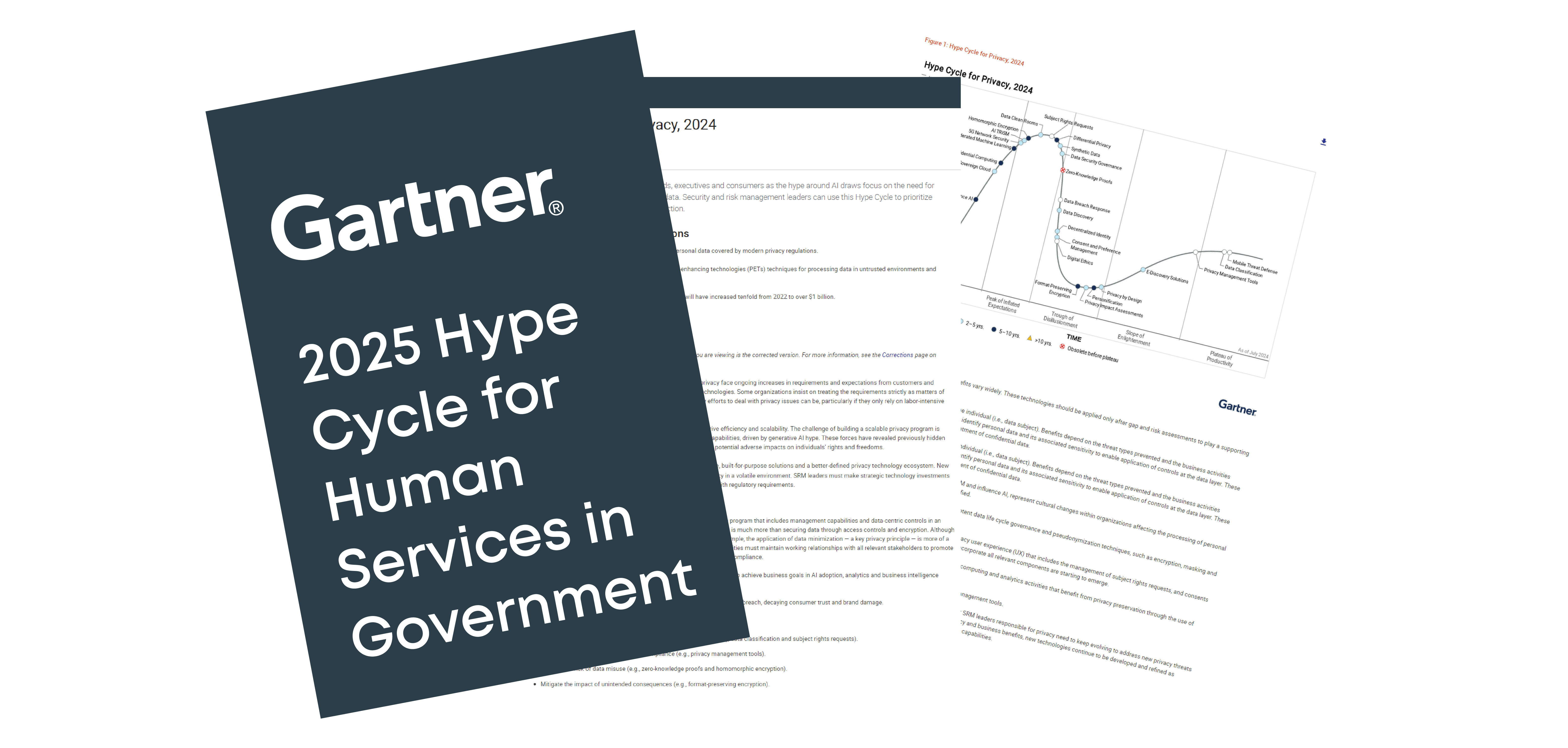 2025 Gartner Hype Cycle for Human and Social Services in Government