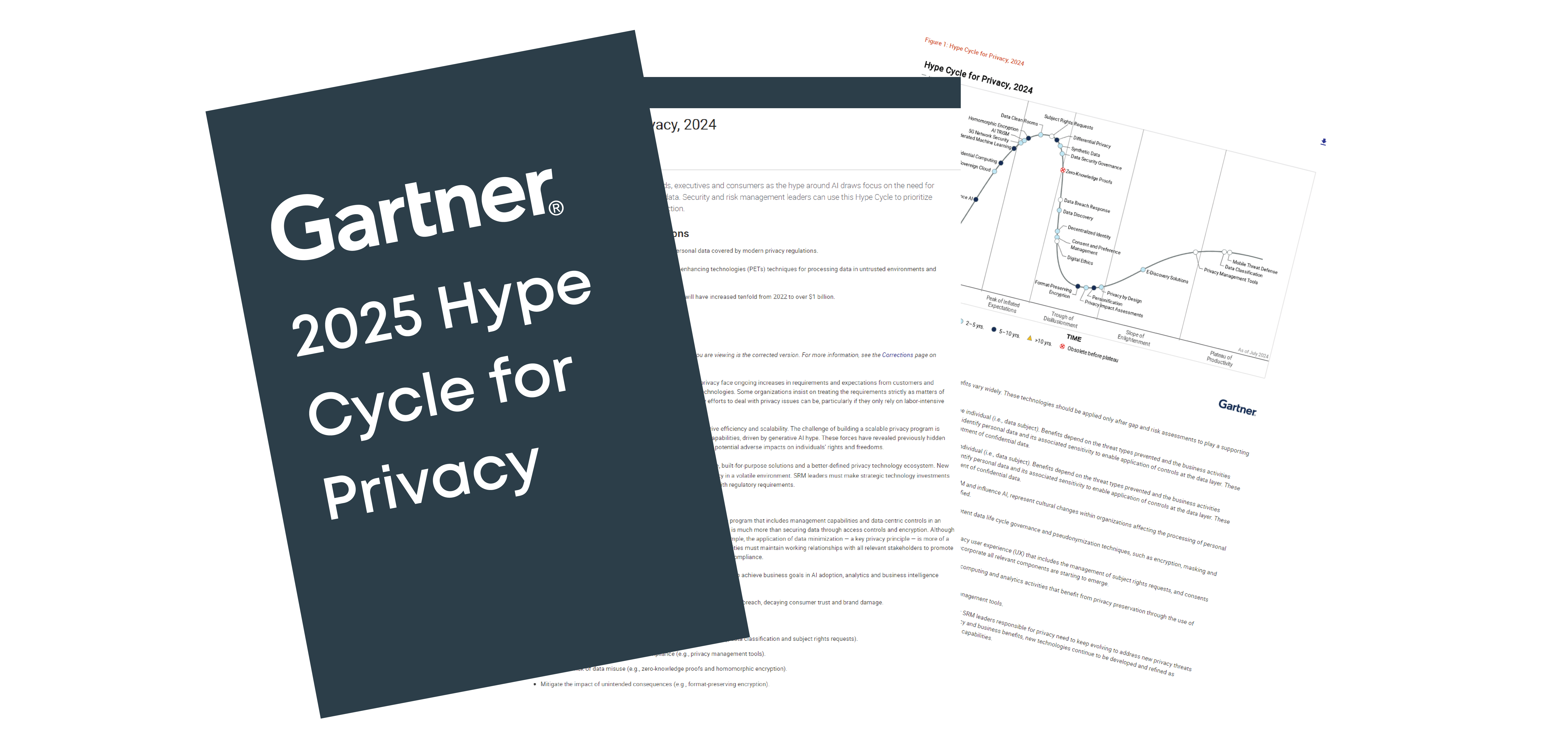 2025 Gartner Hype Cycle for Privacy