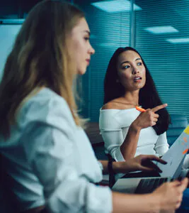 Website Audit